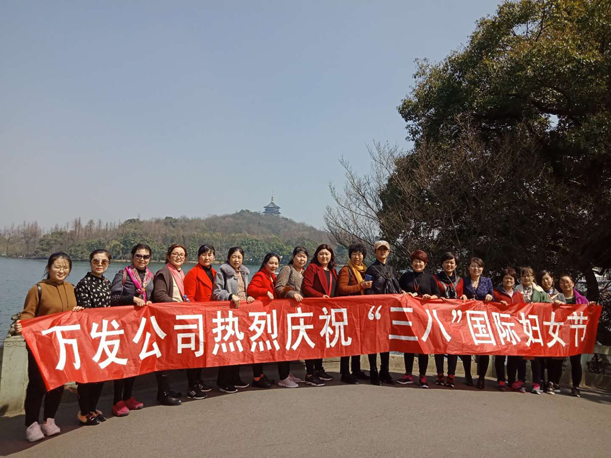 中国尊龙集团