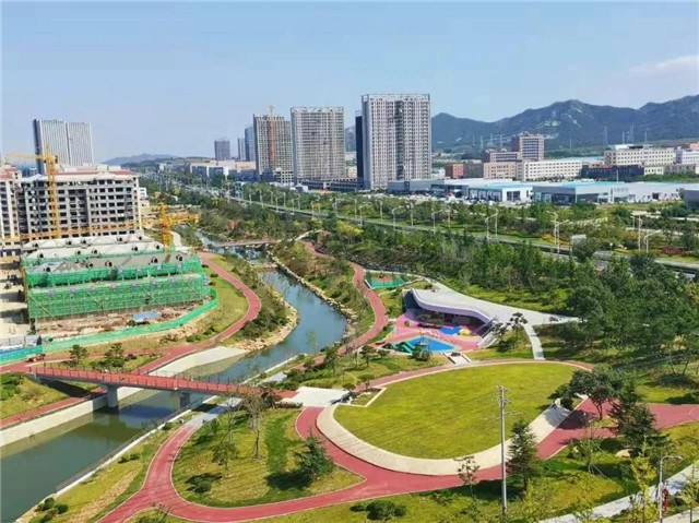 中国尊龙集团