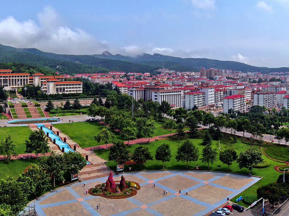中国尊龙集团