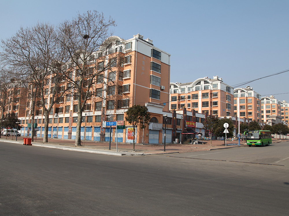 中国尊龙集团