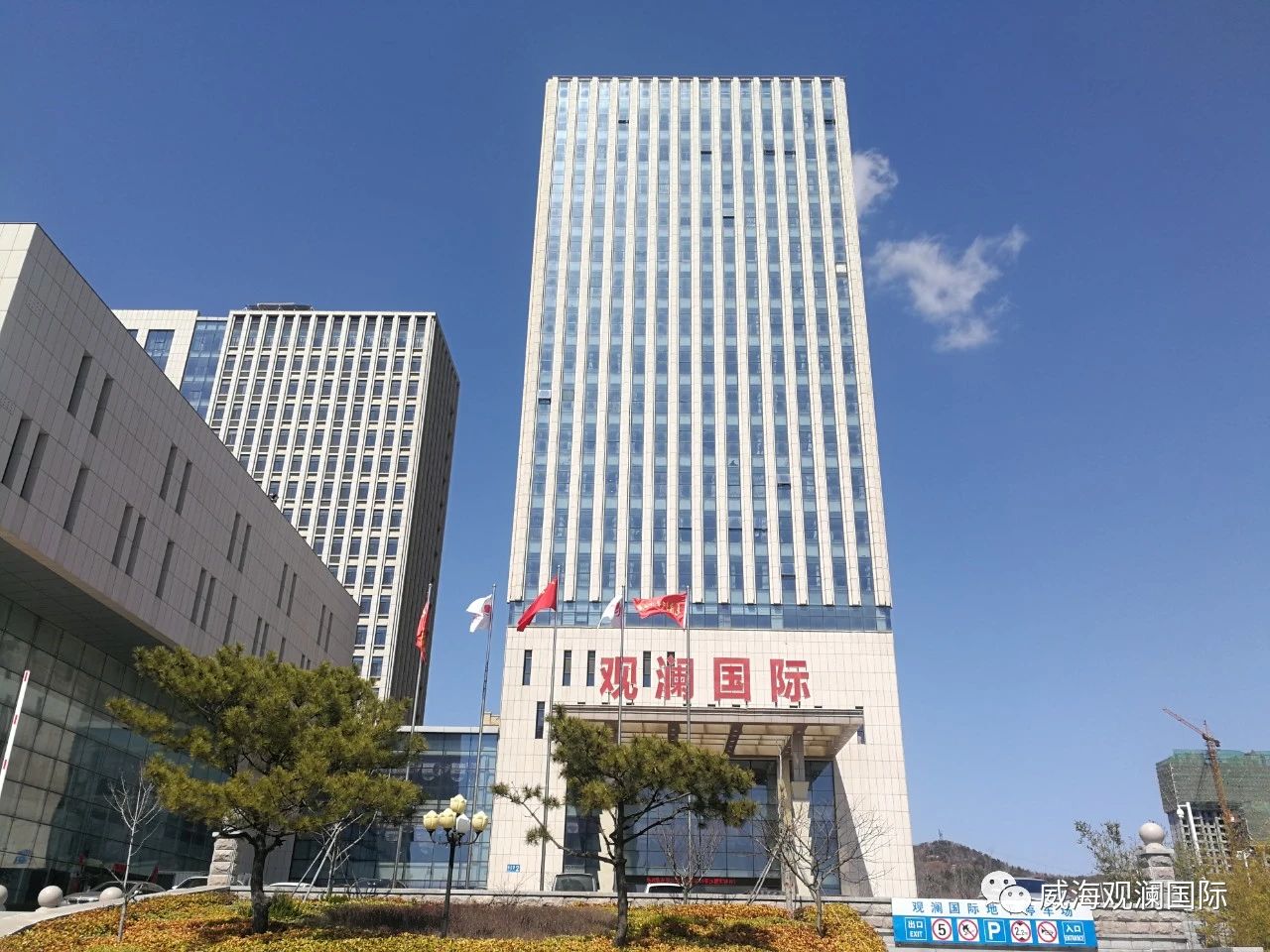 中国尊龙集团
