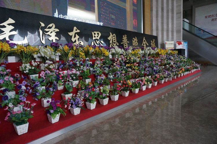 中国尊龙集团