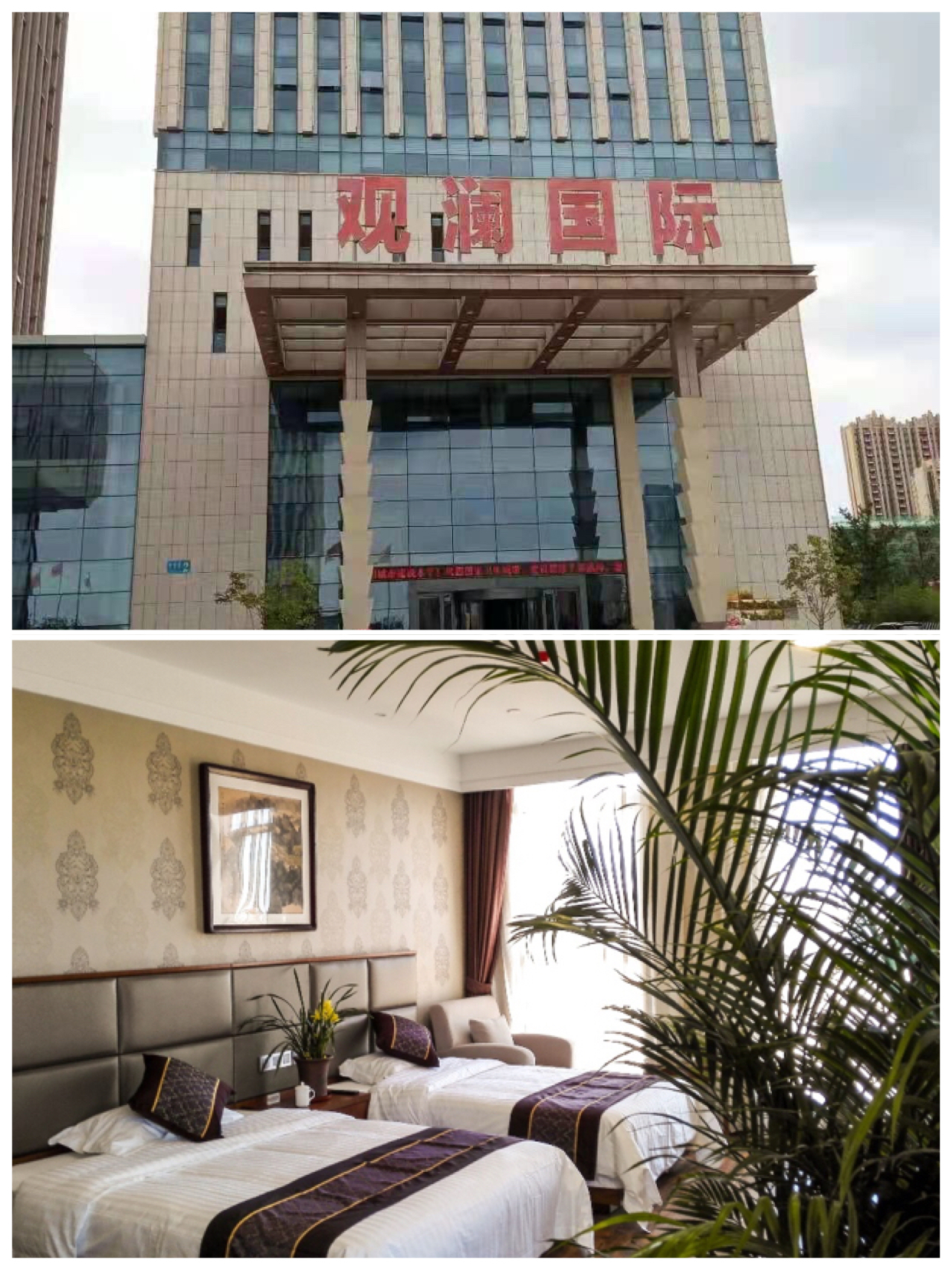 中国尊龙集团