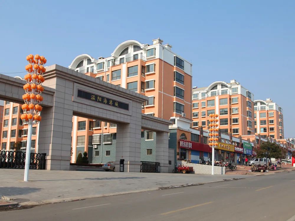 中国尊龙集团